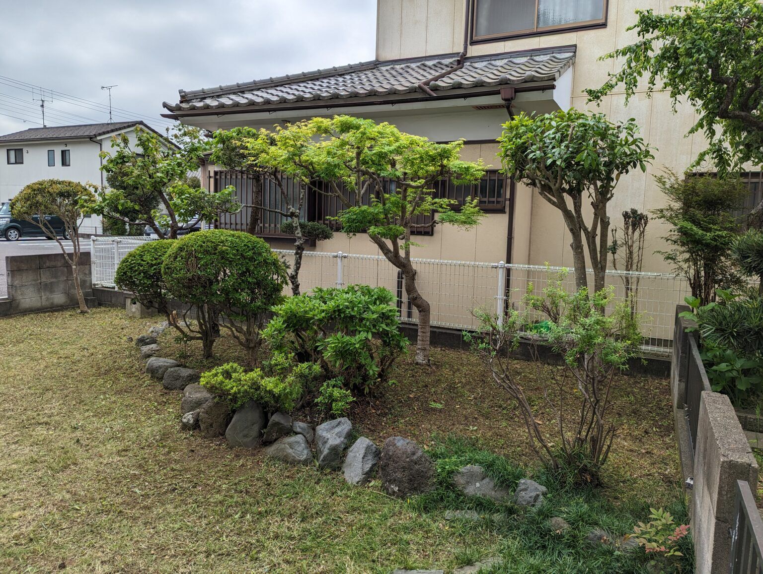 庭木の剪定をしました1