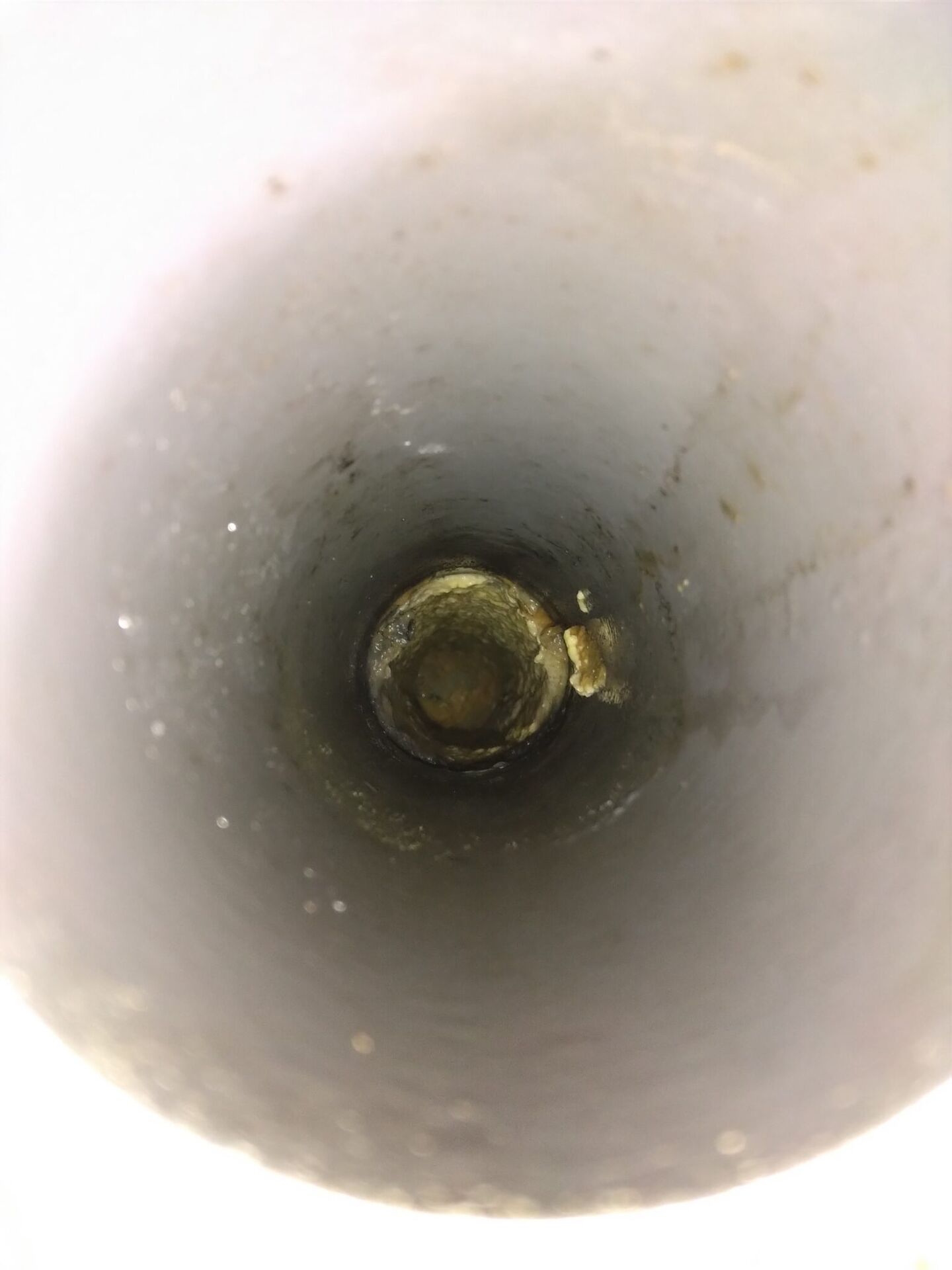 排水管を洗浄しました1