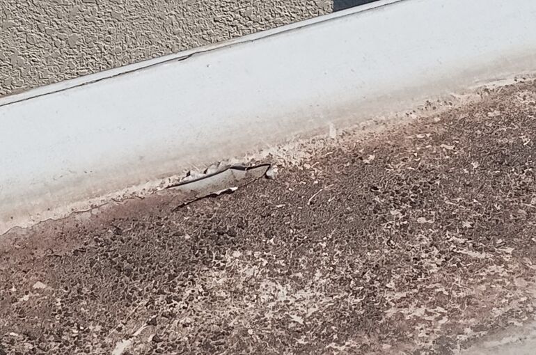 LINE_ALBUM_金山様邸_240628_12