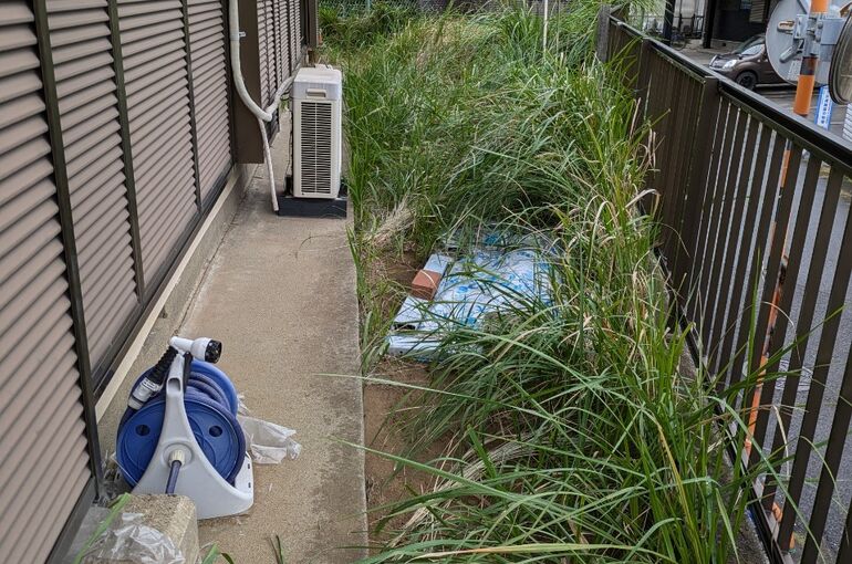 LINE_ALBUM_伐採_241026_6
