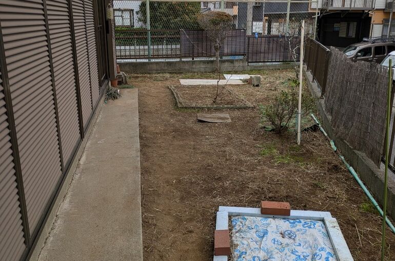 LINE_ALBUM_伐採_241026_3