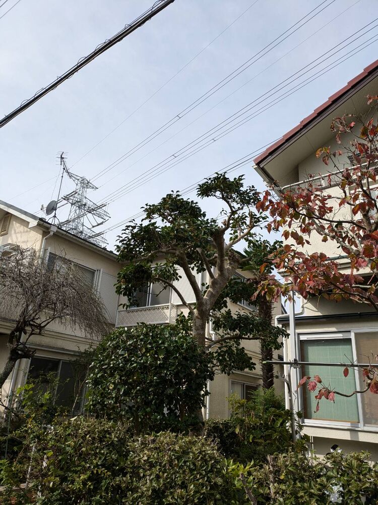ブログ画像