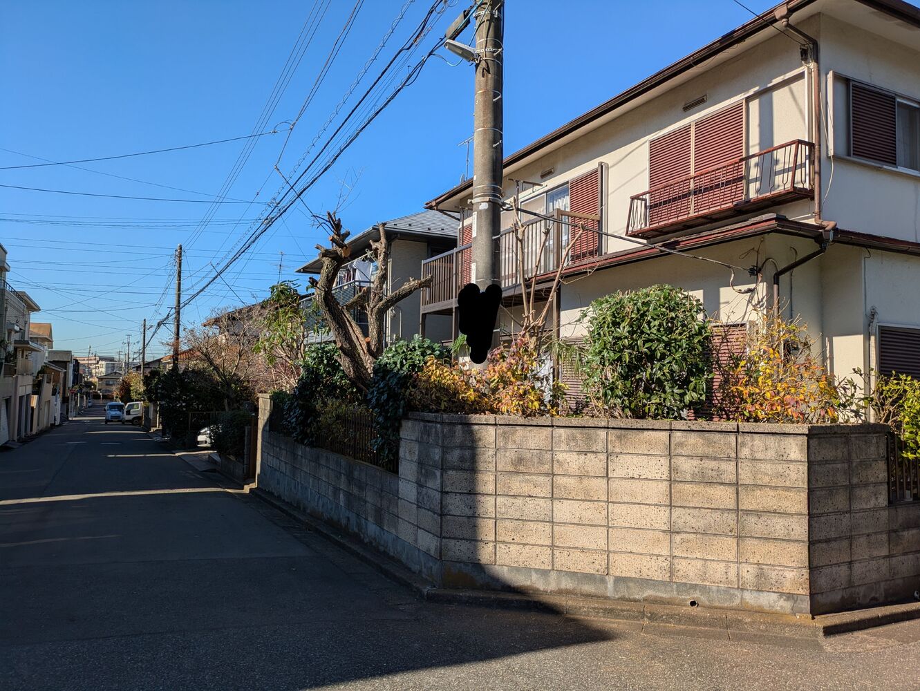 ブログ画像